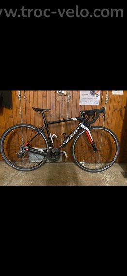 Wilier triestina