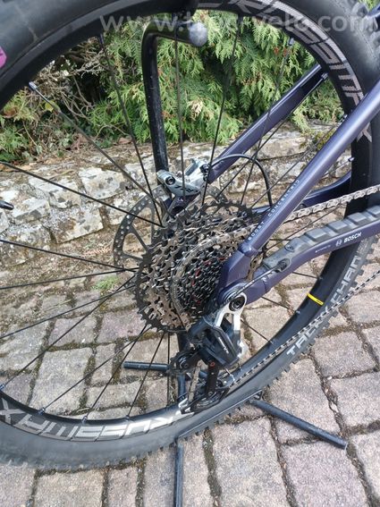 ORBEA Wild 2025 Taille M - 4