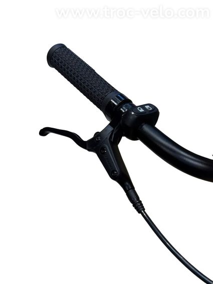 Tenways CGO800S Vélo électrique Single-Speed 2023  - 6