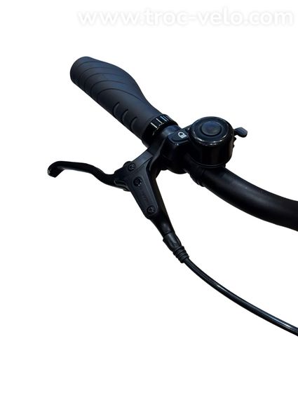 Tenways CGO800s Vélo électrique Single Speed 2022 - 6