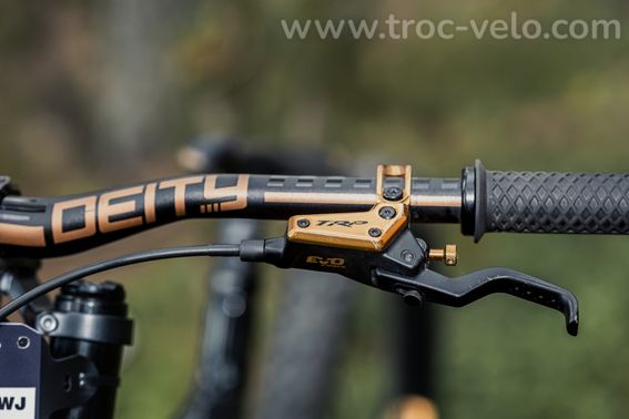 VTT DH SANTA CRUZ V10 - 3