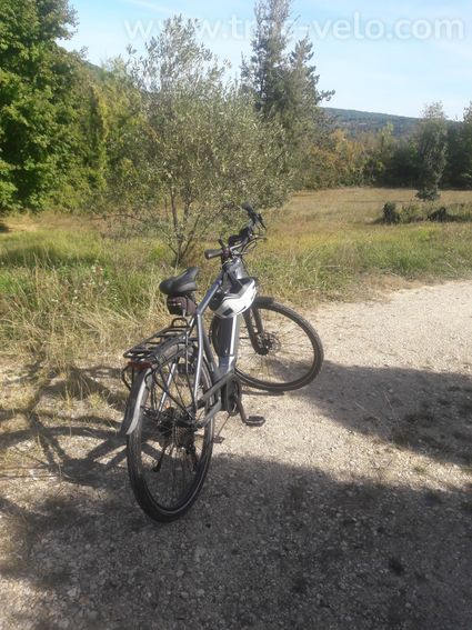 vélo électrique de marque vélo ville /Boch