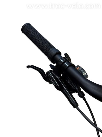 Bergamont E-Horizon Tour 500 Vélo électrique Shimano Alivio 2022  - 5