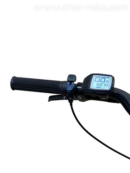 Bergamont E-Horizon Tour 500 Vélo électrique Shimano Alivio 2022  - 7