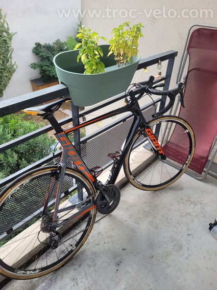 Giant Propel Advanced 1 – Carbone - 2