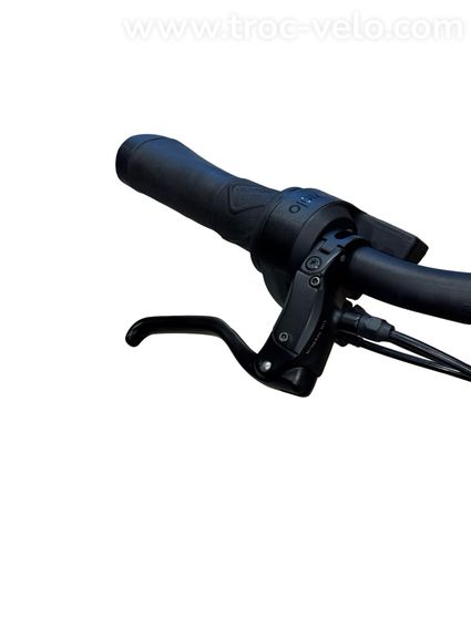 QiO Eins+ P-E Vélo électrique Enviolo 2022  - 6