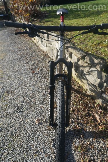 Gravel,titane cintre plat, Paduano, taille L - 3