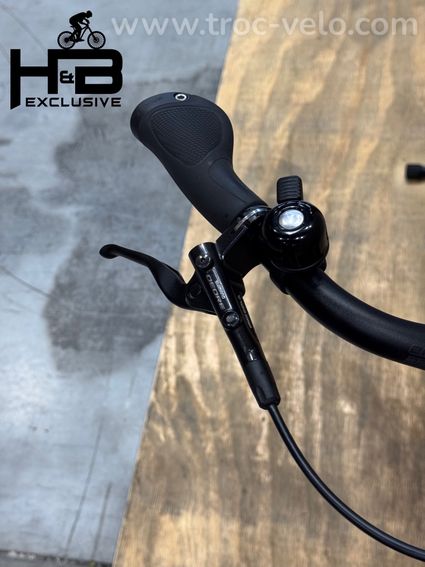 Riese & Müller Nevo3 GT Automatic Vélo électrique Enviolo 2023 - 5