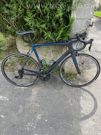 Vélo EXS M carbone  - 6