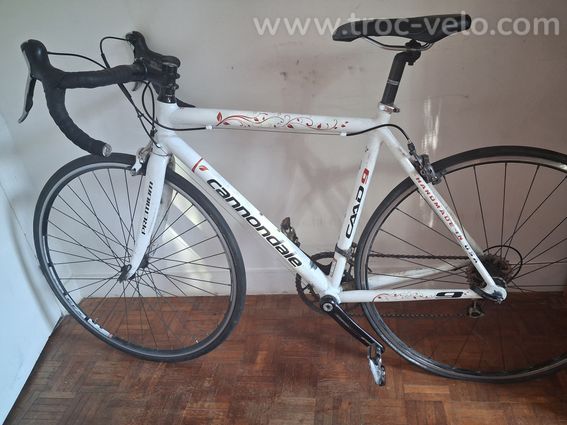 Cannondale