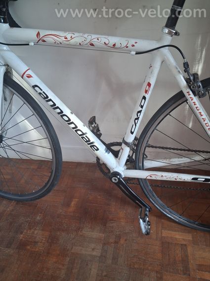 Cannondale - 4