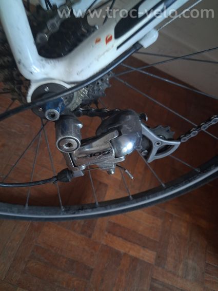 Cannondale - 5