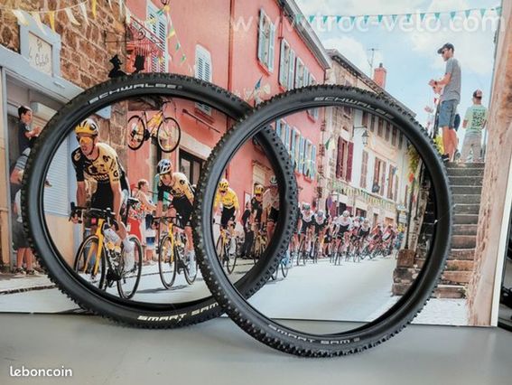 Paire de pneu de VTT Schwalbe Smart Sam