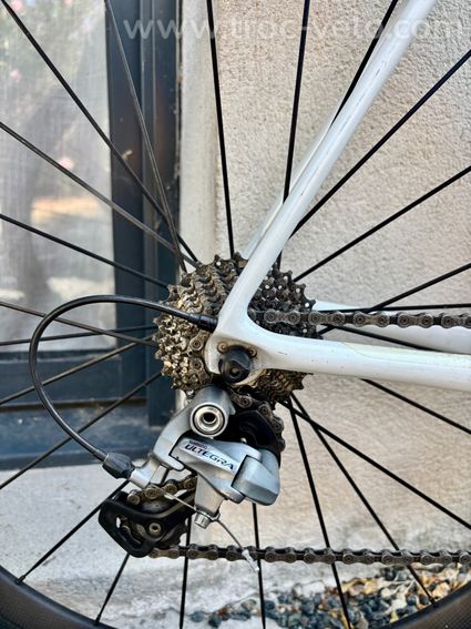 Giant TCR - 4