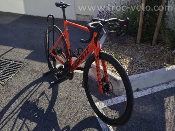 Vélo route Propel adv pro 1 m/l - 2