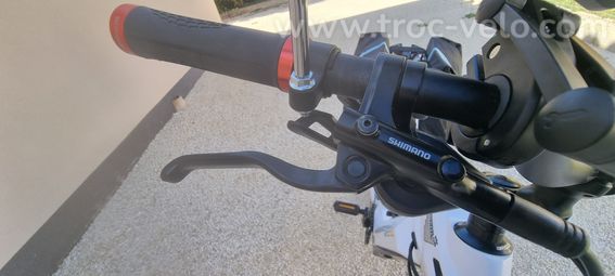 Bianchi E-Omnia M - 8
