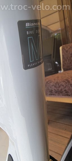 Bianchi E-Omnia M - 11
