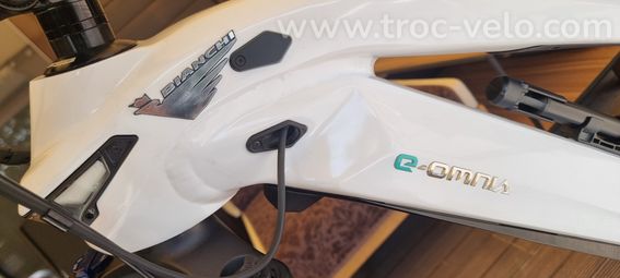 Bianchi E-Omnia M - 12