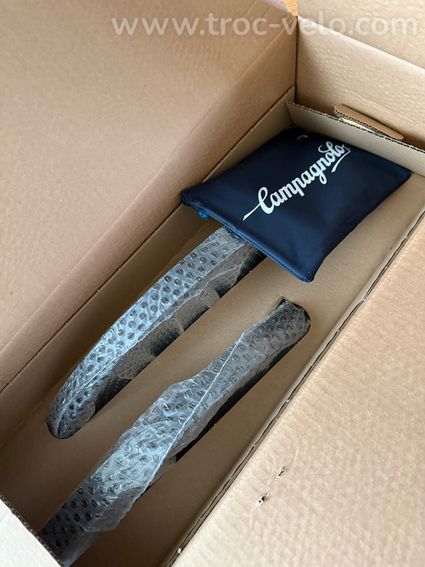 Paire de Roues Campagnolo Levante - 2