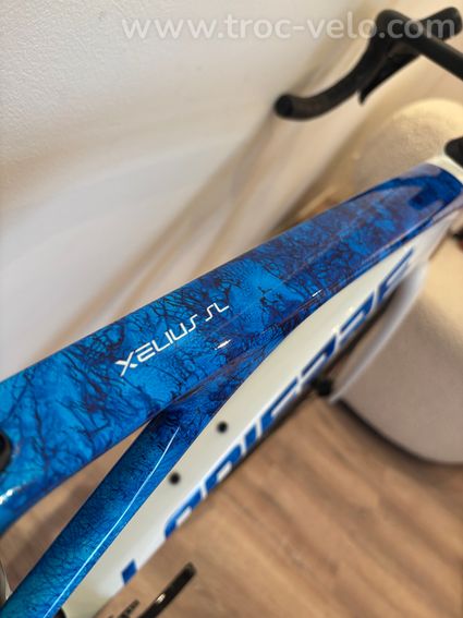 Lapierre Xelius SL - 6