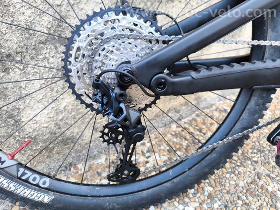 Canyon Spectral 29 CF 8 2024 - 5