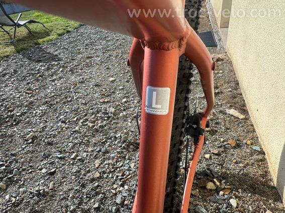 VTT Orbea Onna 10 29 pouces - Taille L - 5