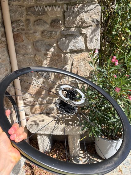 Paire de roues carbone Syncros Capital 1.0+ Cassette Ultegra 12v - 6