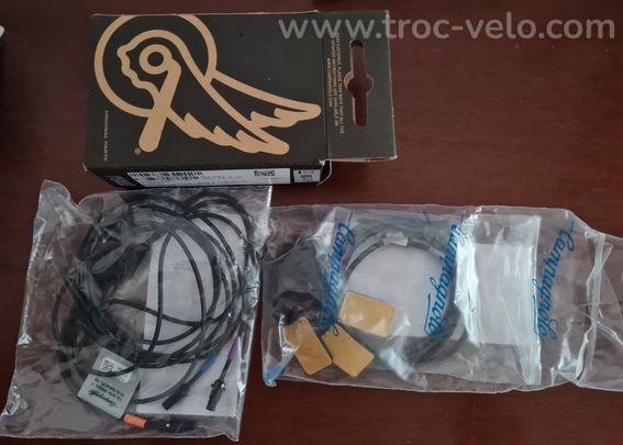 Groupe électronique Campagnolo Super Record EPS V4 - 6