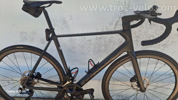 Orbea orca  - 2