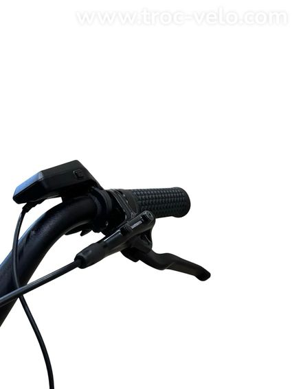 Pegasus Famulo Cargobike Shimano Deore 2025 - 5
