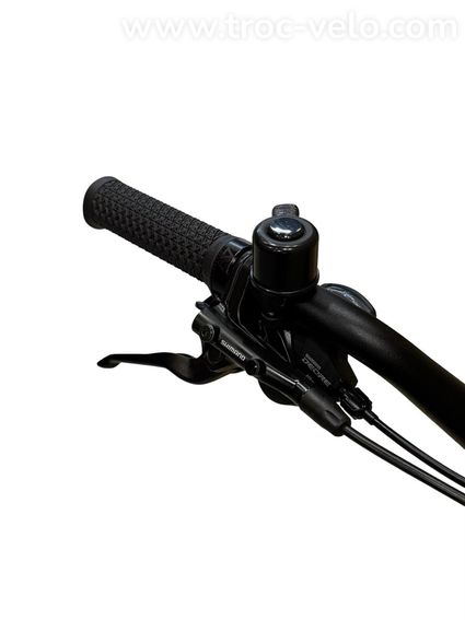 Pegasus Famulo Cargobike Shimano Deore 2025 - 6