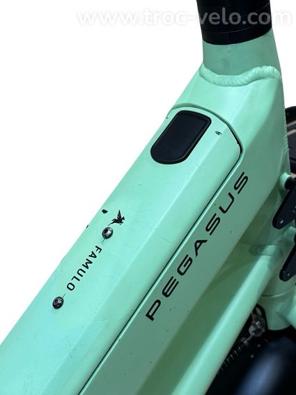 Pegasus Famulo Cargobike Shimano Deore 2025 - 10