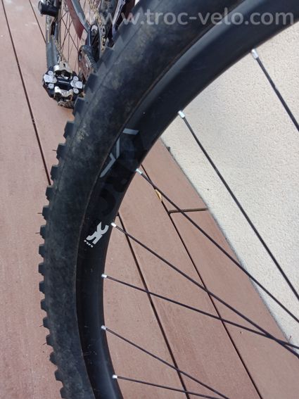 Focus Raven 9.9 - 9