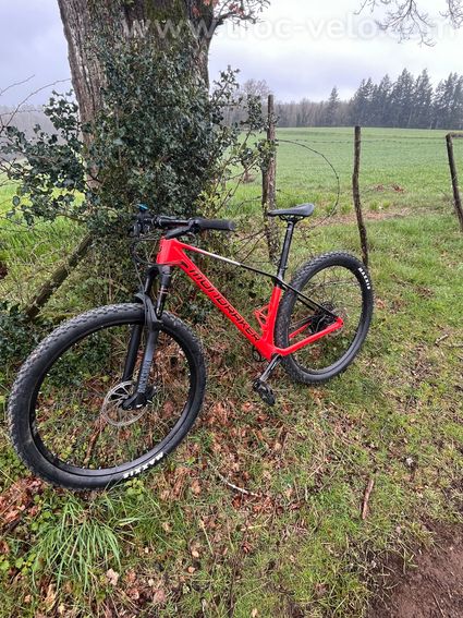 Mondraker chrono Carbon DC 2025 - 3