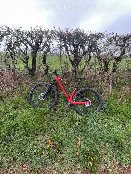 Mondraker chrono Carbon DC 2025 - 4