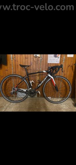 Wilier triestina