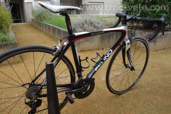 vélo FELINO Gattopardo carbone 11V - 3