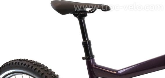 Produit Reconditionne Haibike Alltrail 8 Velo Vtt Electrique Tres Bon Etat - 8