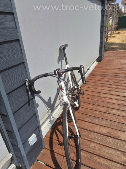 Vélo route carbone Cyfac Nerv – Campagnolo Centaur & Roues Carbone Giant - 2