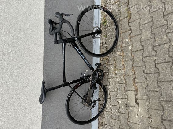 Giant tcr 2023 - 2