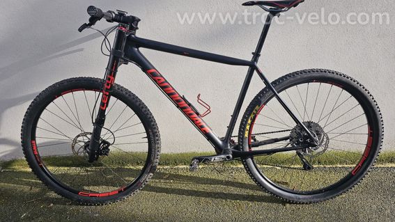 Cannondale Lefty XL - 3