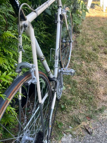 VELO COMPETITION - 5