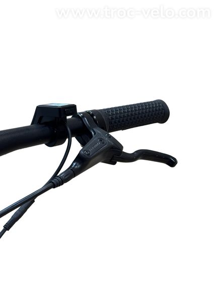 Tenways CGO600 Vélo électrique Single-Speed 2023  - 5
