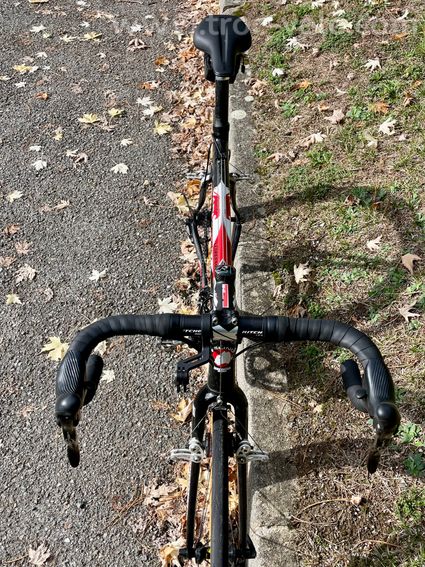 Felino Leopardo cyclo-cross - 4