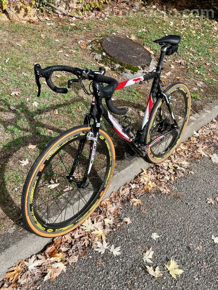 Felino Leopardo cyclo-cross - 7