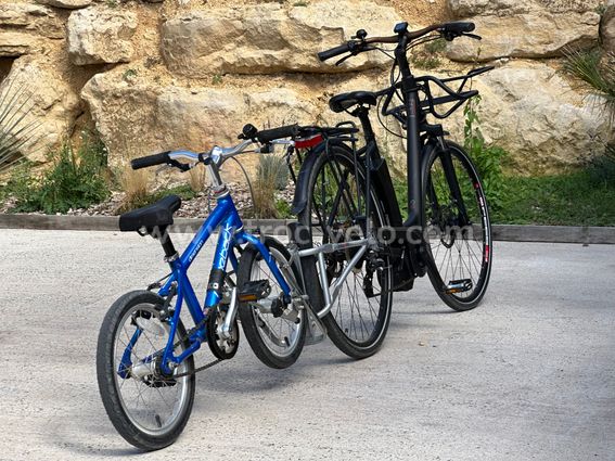 🚲 Pack vélo famille : Kalkhoff électrique 595 km + vélo enfant + FollowMe - 4