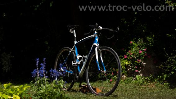 Spécialized Roubaix Taille L - 5