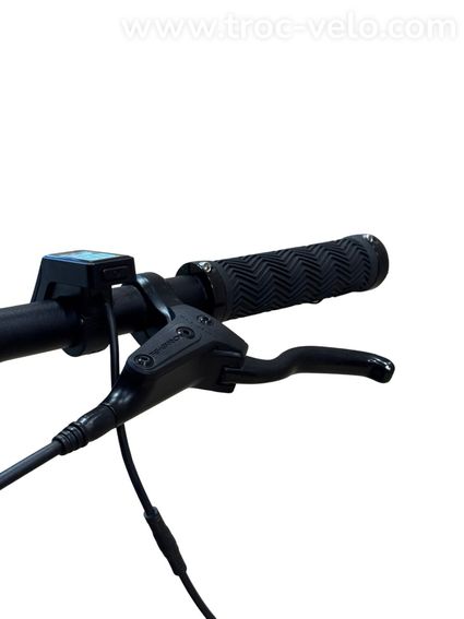 Tenways CGO600 Vélo électrique Single-Speed 2023 - 6