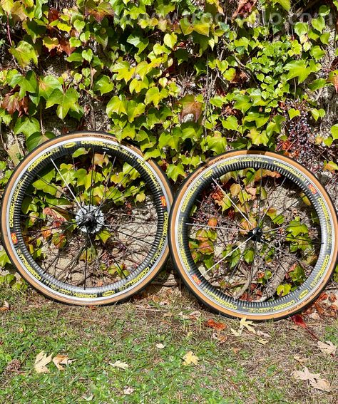 Roues Mavic Cosmic Carbone SL - 5