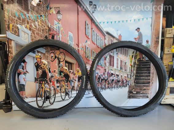 Paire de pneus de VTT Continental Trail King 29 x 2.40